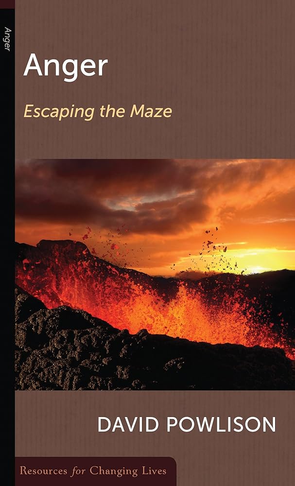 Anger: Escaping the Maze cover image