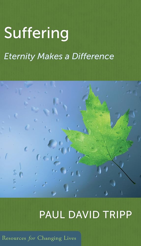 Suffering: Eternity Makes a Difference cover image