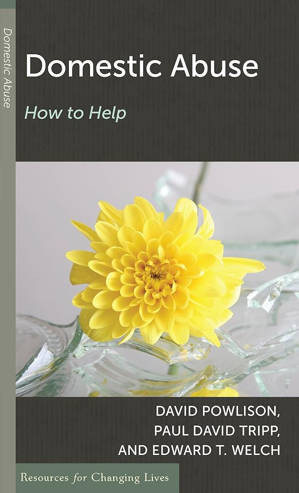 Domestic Abuse: How to Help (Resources for Changing Lives) cover image