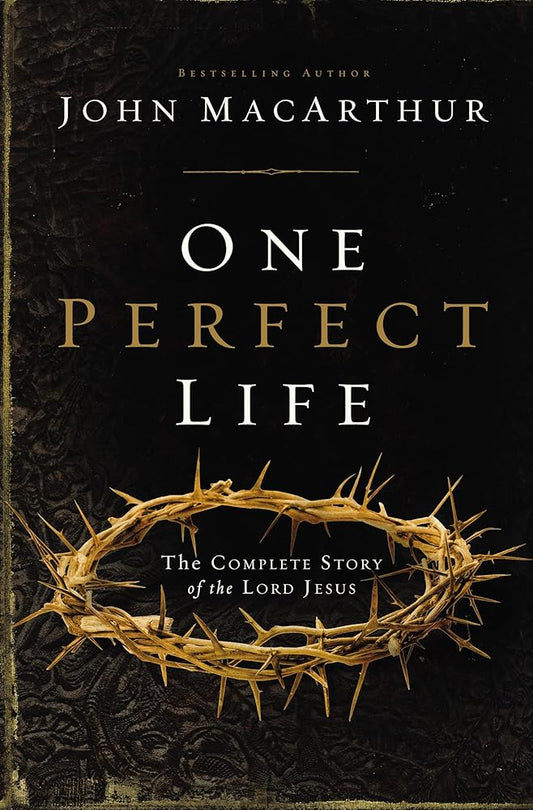 One Perfect Life: The Complete Story of the Lord Jesus cover image