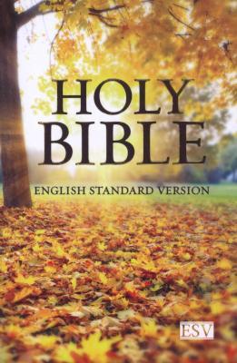 ESV Compact Bible (Paperback) cover image