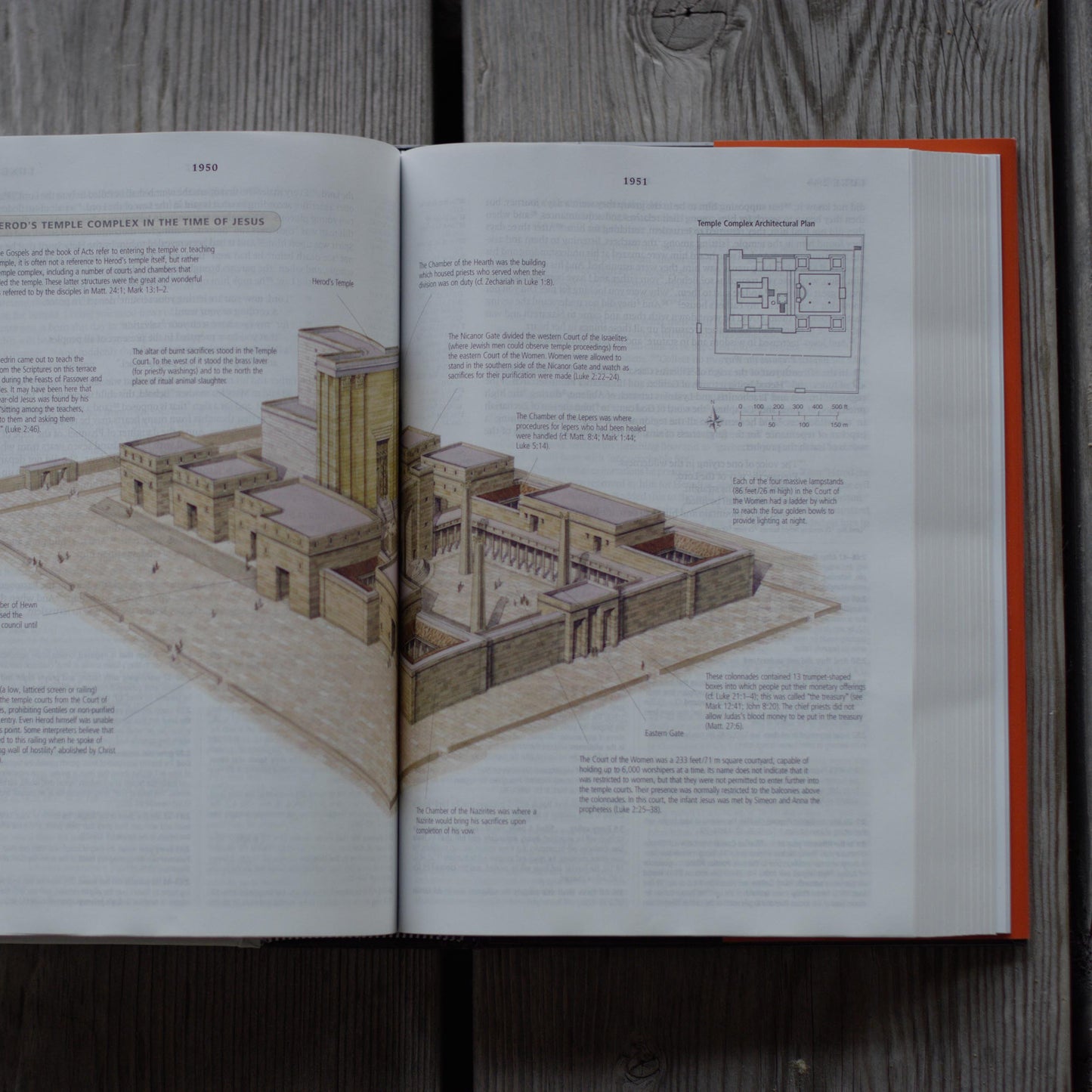 ESV Study Bible