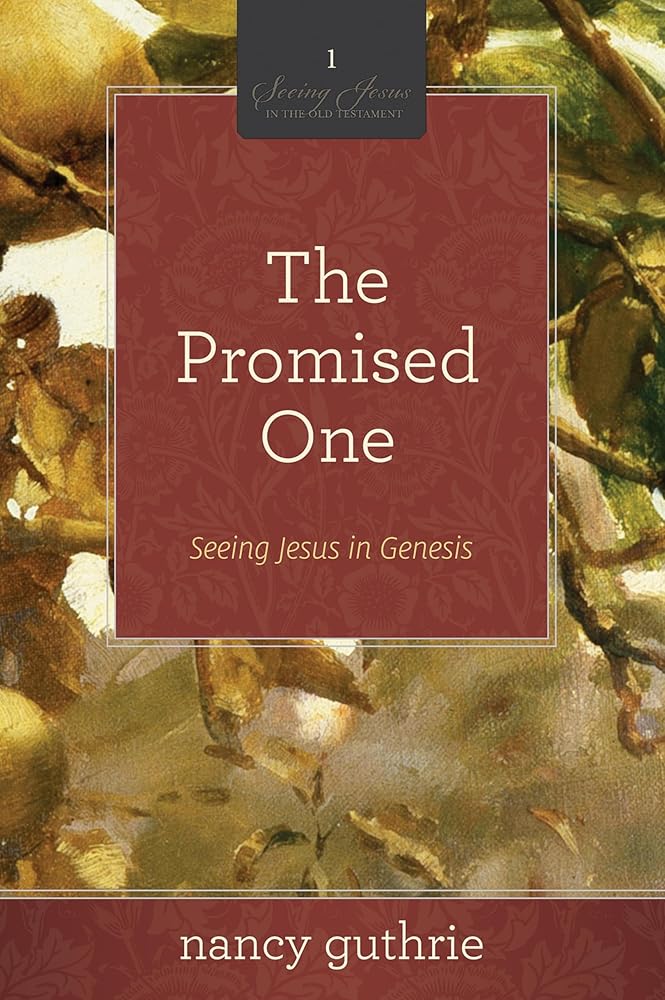The Promised One: Seeing Jesus in Genesis (a 10-Week Bible Study) Volume 1 cover image