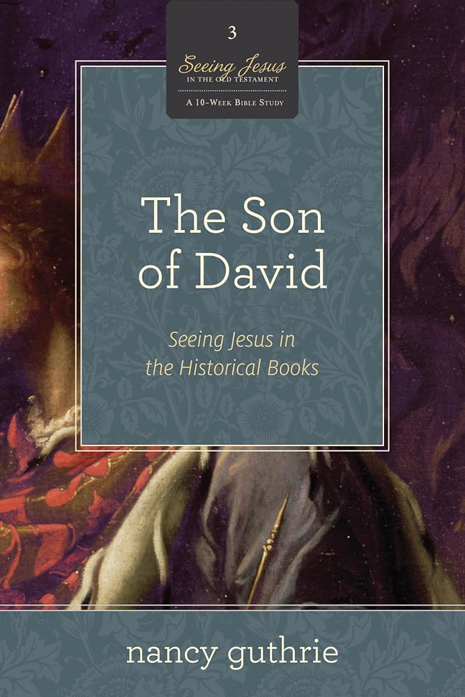 The Son of David: Seeing Jesus in the Historical Books (A 10-week Bible Study) (Volume 3) (Seeing Jesus in the Old Testament, 3) cover image