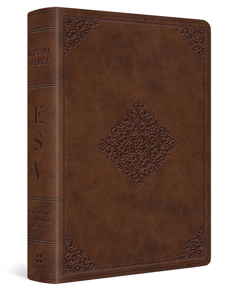 ESV Study Bible, Personal Size (TruTone, Saddle, Ornament Design) cover image