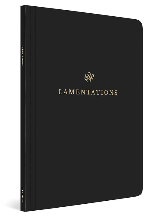 ESV Scripture Journal: Lamentations cover image
