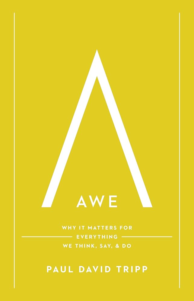Awe: Why It Matters for Everything We Think, Say, and Do cover image