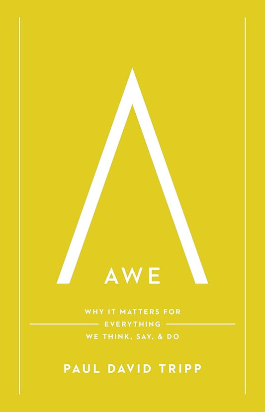 Awe: Why It Matters for Everything We Think, Say, and Do cover image