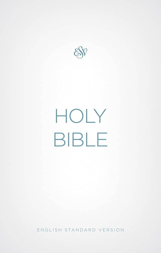 ESV Economy Bible cover image