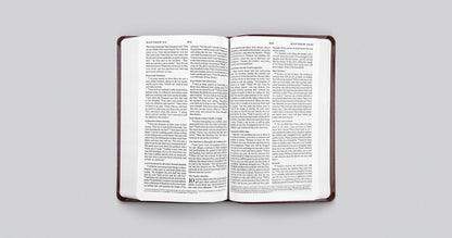 ESV Premium Gift Bible (TruTone, Olive, Celtic Cross Design)