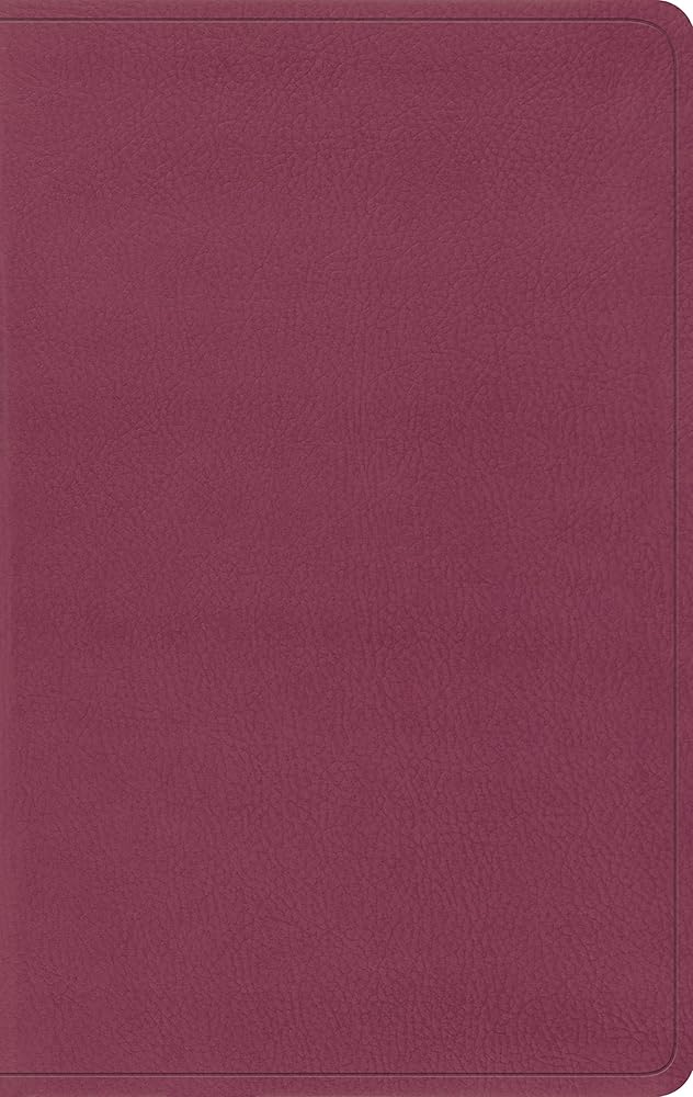 ESV Value Thinline Bible (TruTone, Pink) cover image