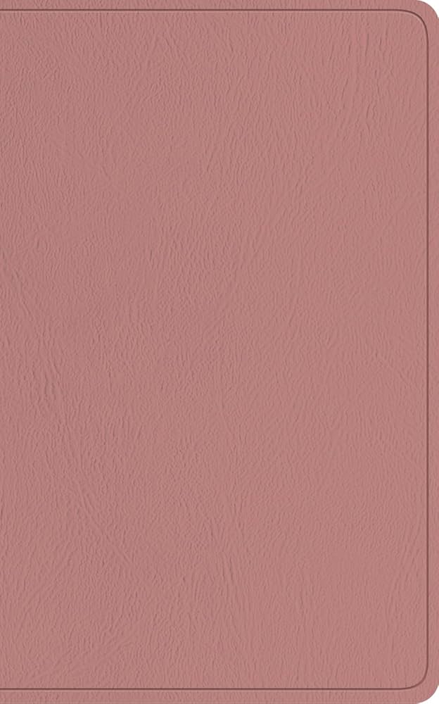 ESV Baby New Testament with Psalms and Proverbs (TruTone, Pocket Size, Pink) cover image