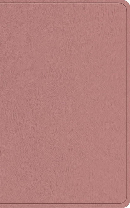 ESV Baby New Testament with Psalms and Proverbs (TruTone, Pocket Size, Pink) cover image