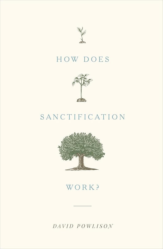 How Does Sanctification Work? cover image