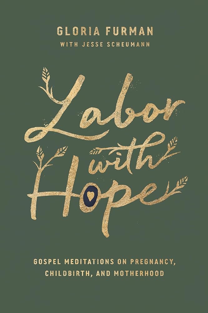 Labor with Hope: Gospel Meditations on Pregnancy, Childbirth, and Motherhood cover image