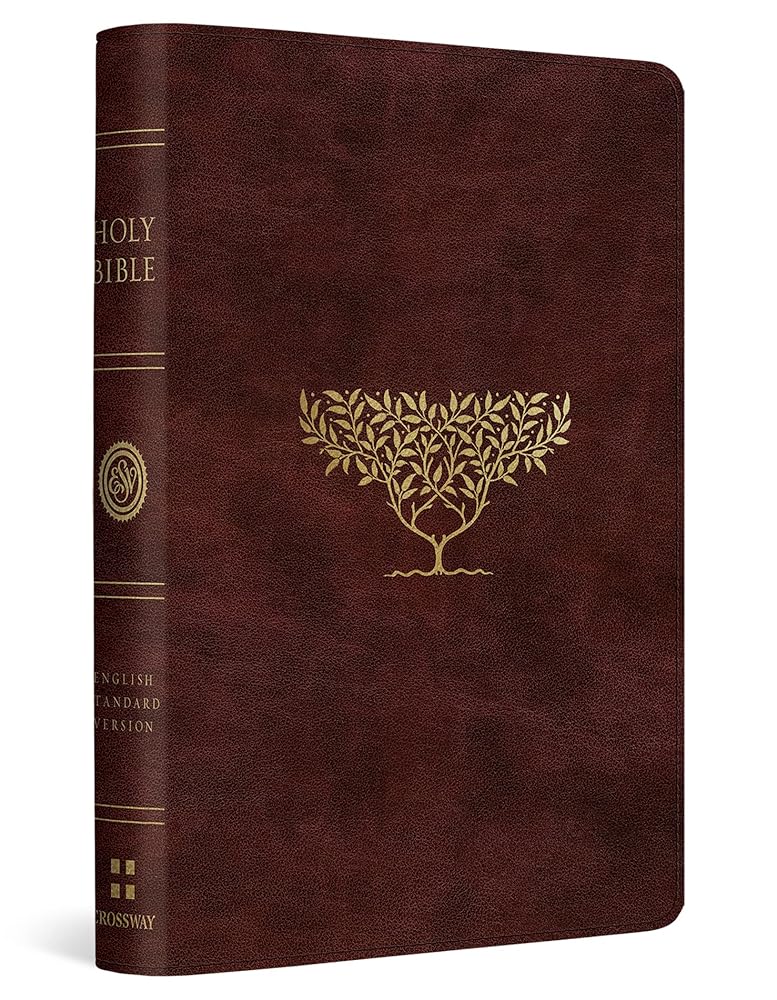 ESV Compact Bible (TruTone, Burgundy, Olive Tree Design) cover image