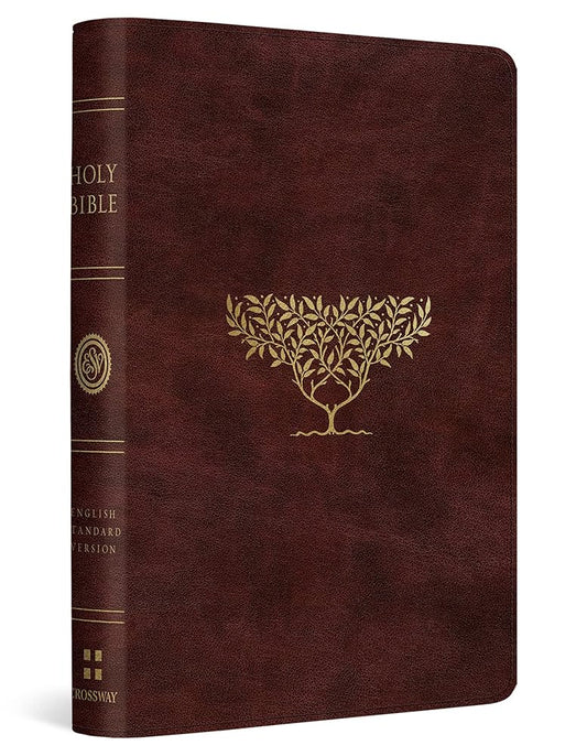 ESV Compact Bible (TruTone, Burgundy, Olive Tree Design) cover image