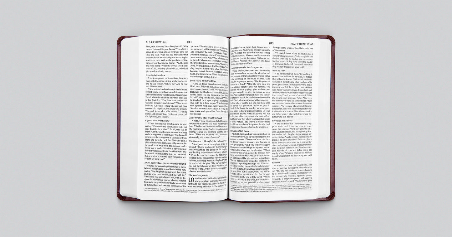 ESV Premium Gift Bible (TruTone, Mahogany, Border Design)