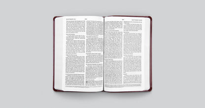 ESV Premium Gift Bible (TruTone, Mahogany, Border Design)