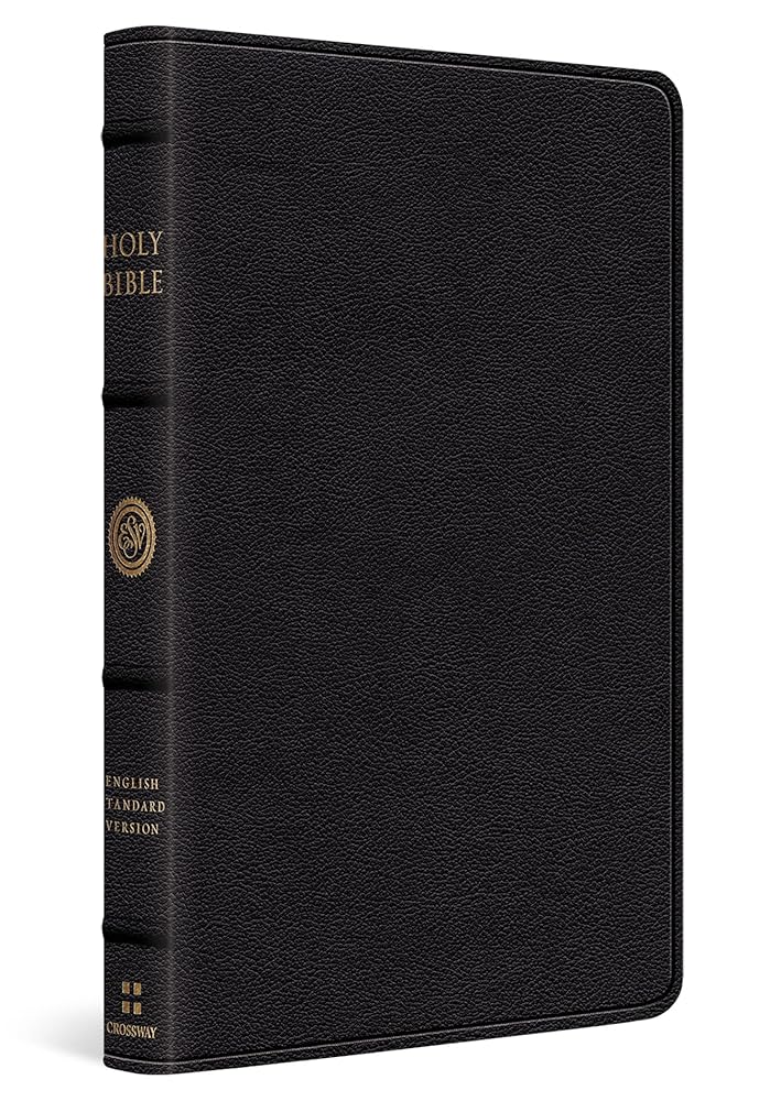 ESV Thinline Bible (Black) cover image
