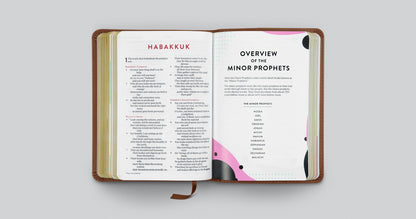 ESV Kid's Bible, Compact (TruTone, The True Vine)