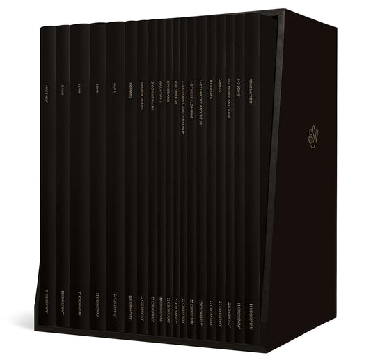 ESV Scripture Journal: New Testament Set cover image