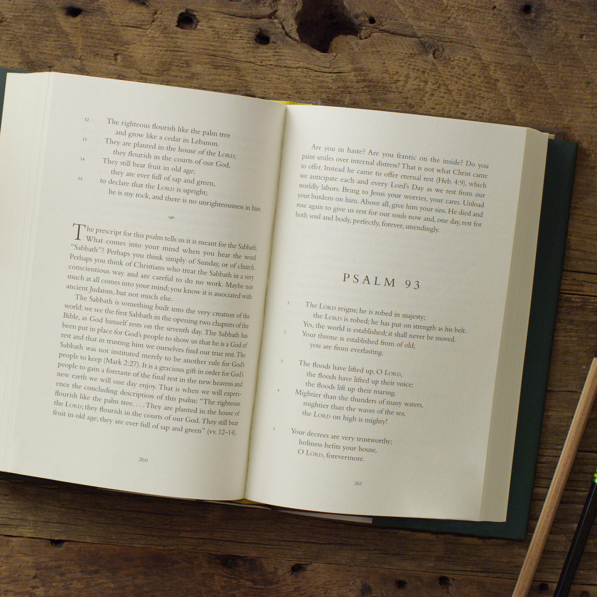 In the Lord I Take Refuge: 150 Daily Devotions through the Psalms