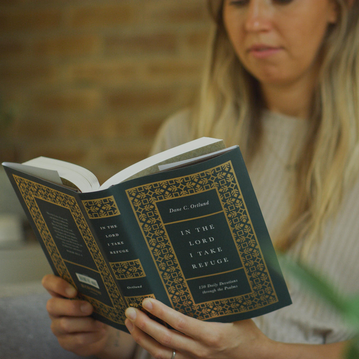In the Lord I Take Refuge: 150 Daily Devotions through the Psalms