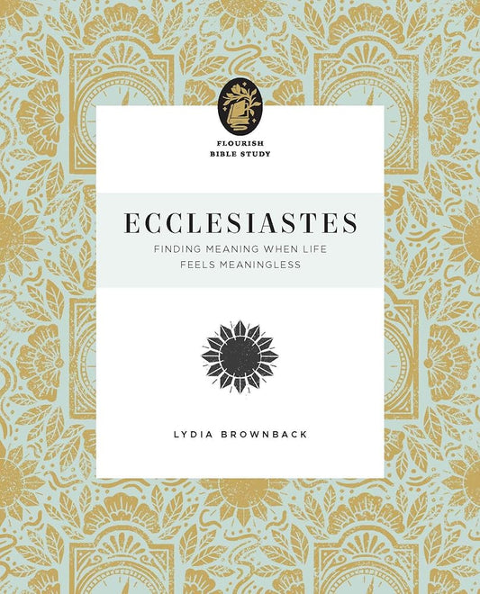 Ecclesiastes: Finding Meaning When Life Feels Meaningless cover image