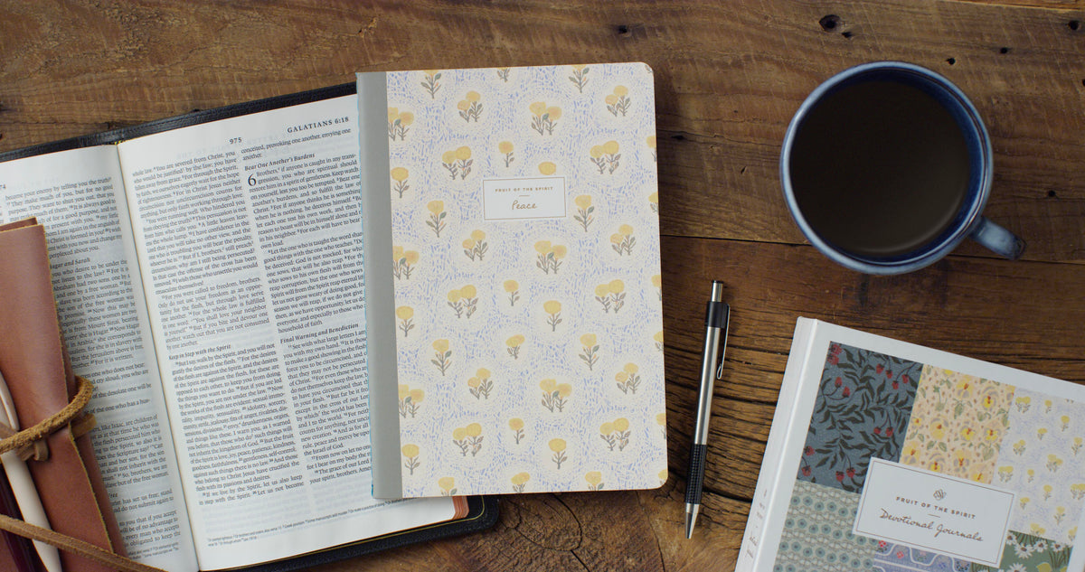 ESV Devotional Journal, Fruit of the Spirit: Box Set