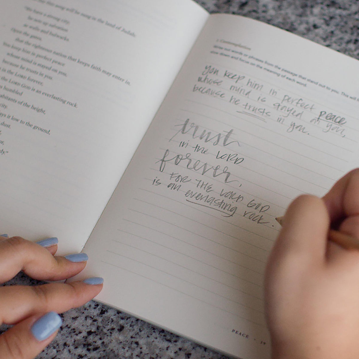 ESV Devotional Journal, Fruit of the Spirit: Patience (Paperback)