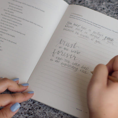 ESV Devotional Journal, Fruit of the Spirit: Patience (Paperback)