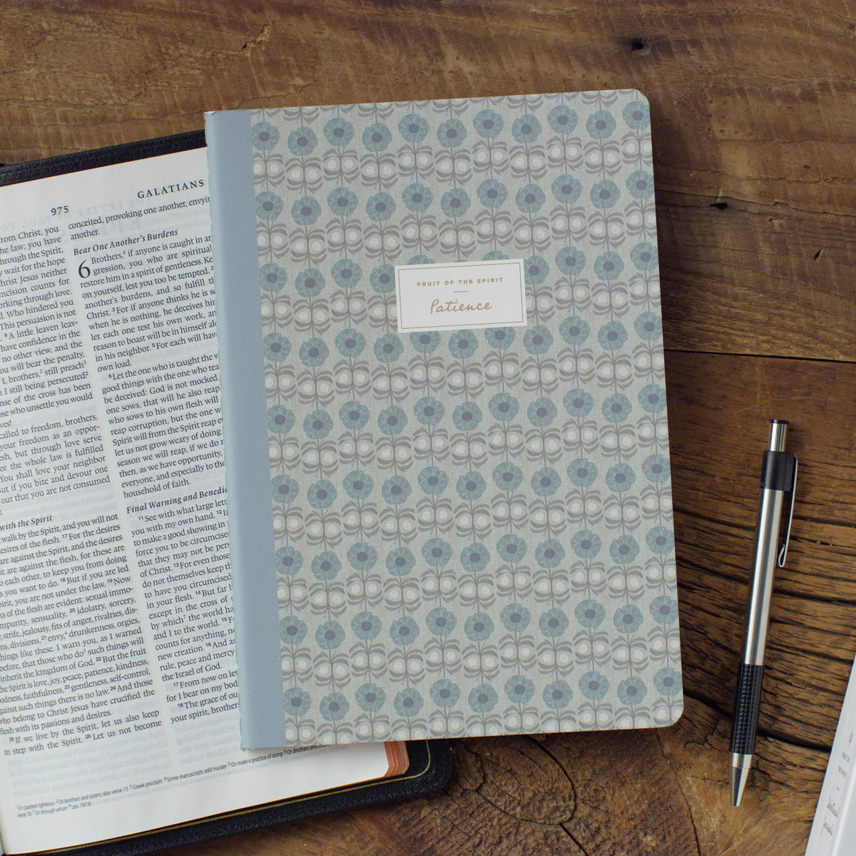 ESV Devotional Journal, Fruit of the Spirit: Patience (Paperback)