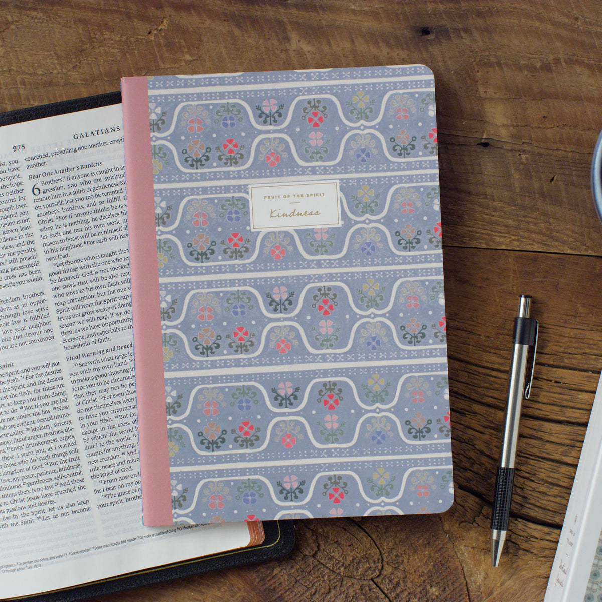 ESV Devotional Journal, Fruit of the Spirit: Kindness (Paperback)