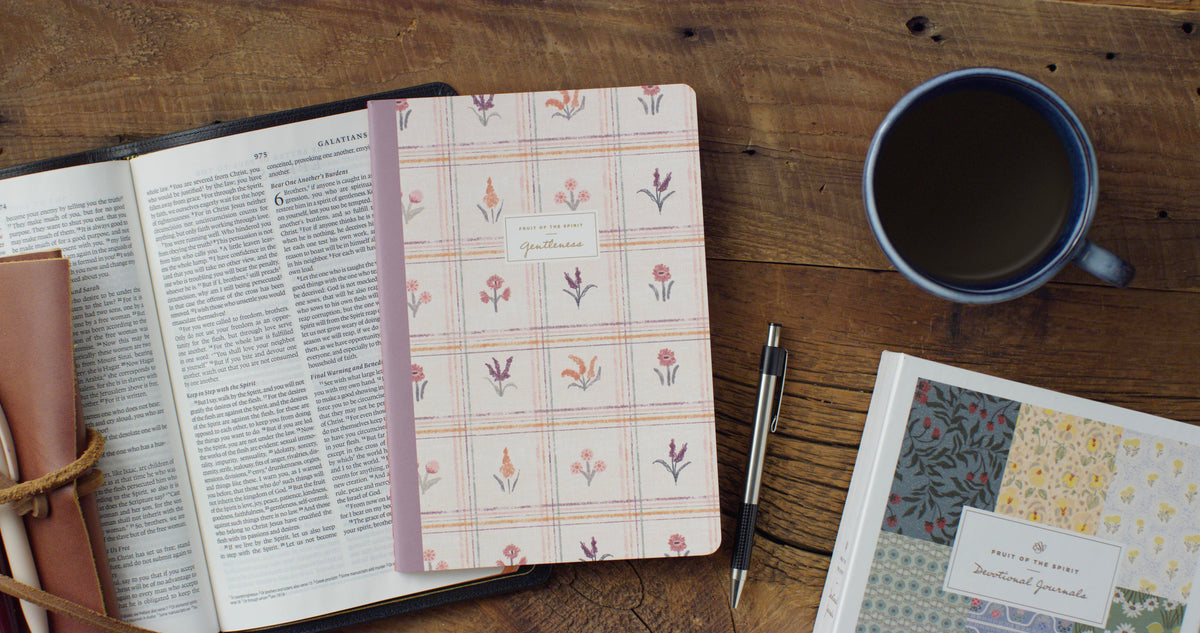 ESV Devotional Journal, Fruit of the Spirit: Gentleness (Paperback)