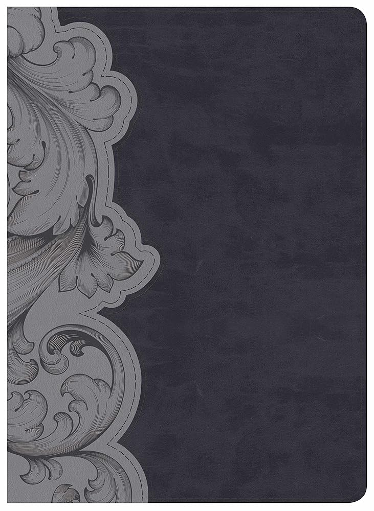 HCSB Study Bible, Smoke/Slate LeatherTouch cover image