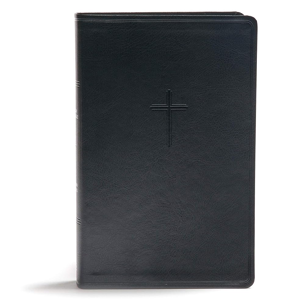 CSB Everyday Study Bible, Black LeatherTouch, Black Letter, Study Notes, Illustrations, Aricles, Easy-to-Carry, Easy-to-Read Bible Serif Type cover image