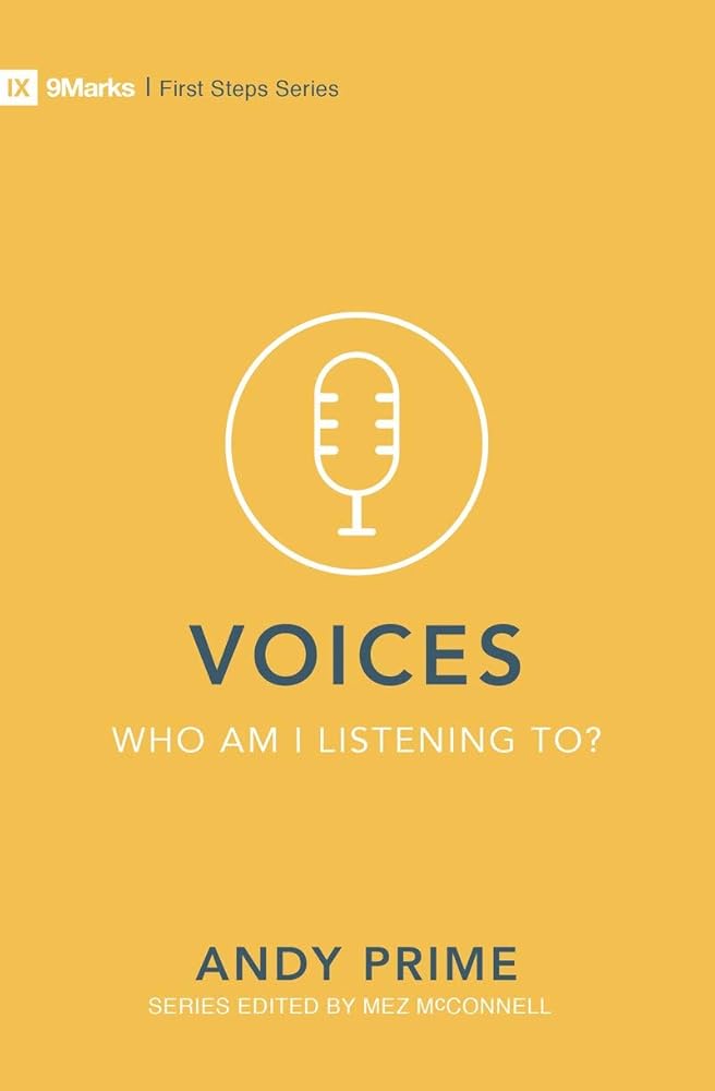 Voices – Who am I listening to? (First Steps) cover image