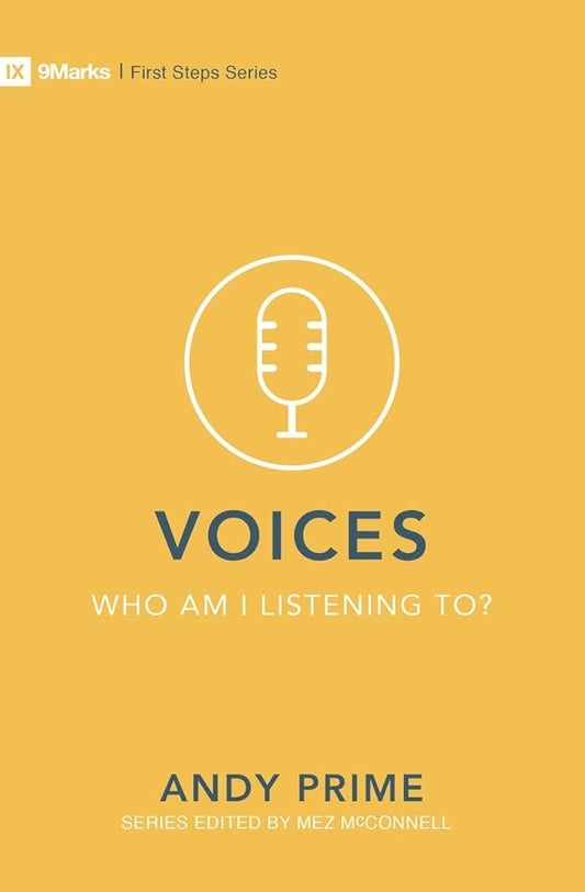 Voices – Who am I listening to? (First Steps) cover image
