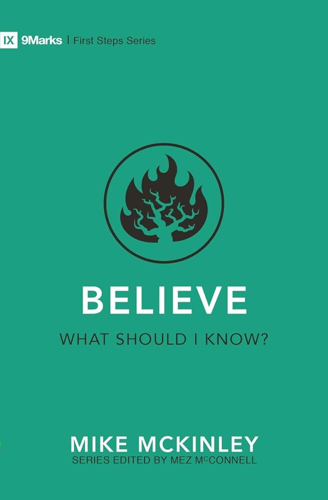 Believe – What Should I Know? (First Steps) cover image