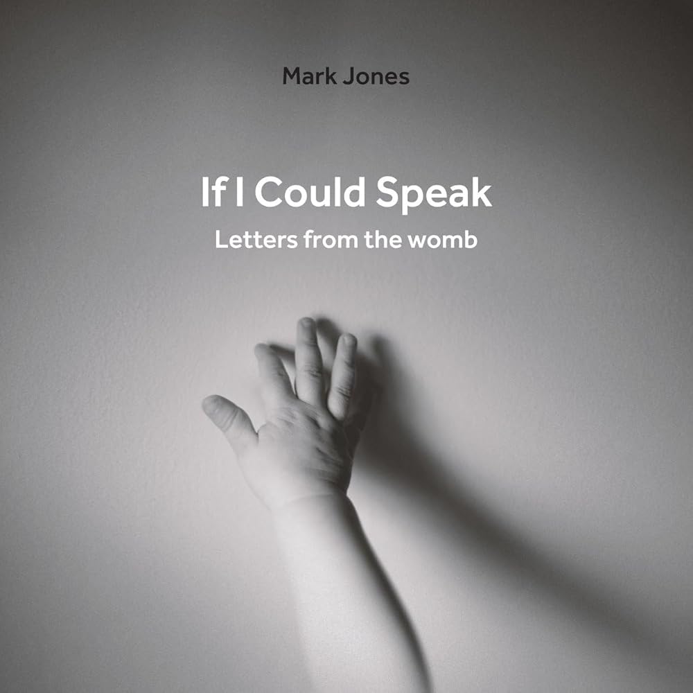 If I Could Speak: Letters from the Womb cover image