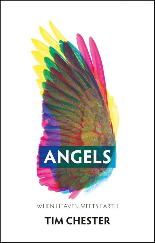 Angels: When Heaven Meets Earth cover image