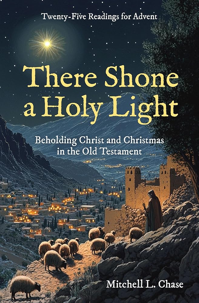 There Shone a Holy Light: Beholding Christ and Christmas in the Old Testament: Twenty–Five Readings for Advent (Devotionals) cover image