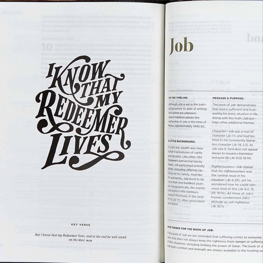 CSB He Reads Truth Bible, Evergreen Cloth Over Board, Black Letter, Wide Margins, Journaling Space, Illustrations, Reading Plans, Single-Column, Easy-to-Read Bible Serif Type