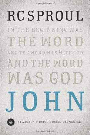 John (St. Andrew’s Expositional Commentary) cover image