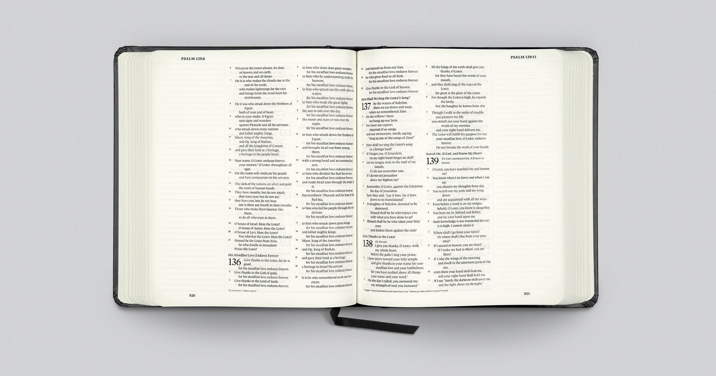 ESV Journaling Bible (Black)