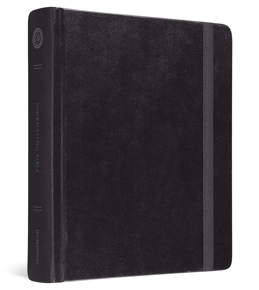 ESV Journaling Bible (Black) cover image
