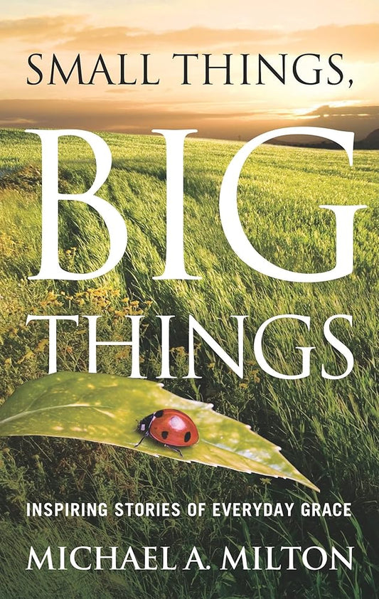 Small Things, Big Things: Inspiring Stories of Everyday Grace cover image