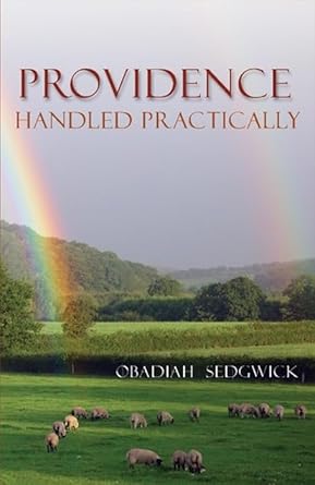 Providence Handled Practically cover image