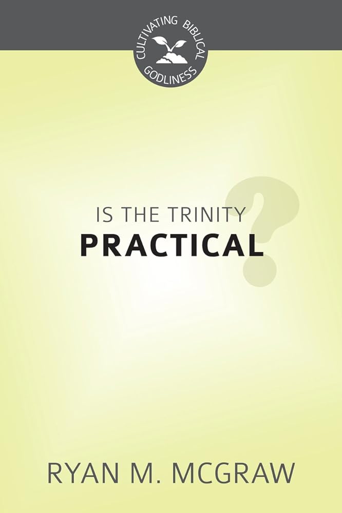 Is the Trinity Practical? cover image